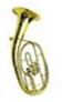 Tenorhorn